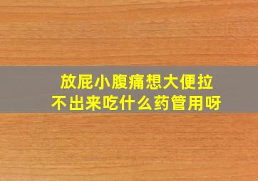 放屁小腹痛想大便拉不出来吃什么药管用呀