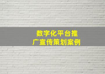 数字化平台推广宣传策划案例