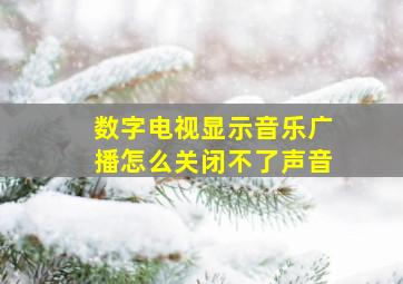 数字电视显示音乐广播怎么关闭不了声音