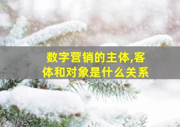 数字营销的主体,客体和对象是什么关系