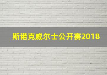 斯诺克威尔士公开赛2018