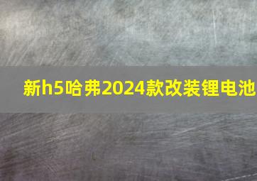 新h5哈弗2024款改装锂电池