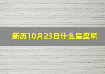 新历10月23日什么星座啊