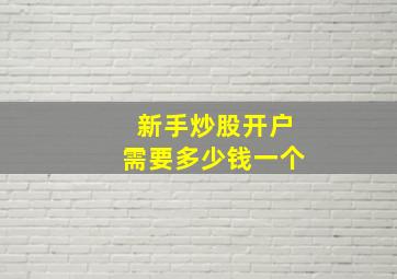 新手炒股开户需要多少钱一个