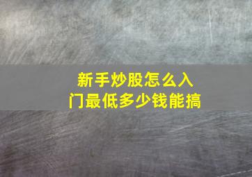 新手炒股怎么入门最低多少钱能搞