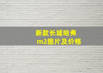 新款长城哈弗m2图片及价格