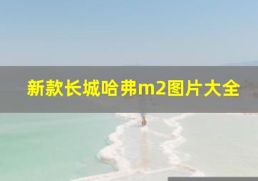 新款长城哈弗m2图片大全