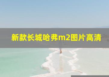 新款长城哈弗m2图片高清