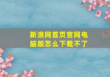 新浪网首页官网电脑版怎么下载不了