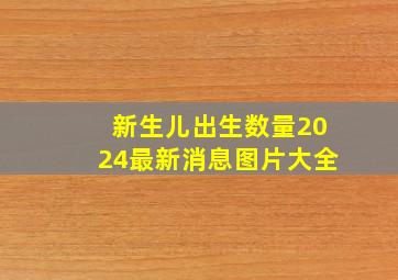 新生儿出生数量2024最新消息图片大全