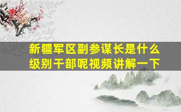 新疆军区副参谋长是什么级别干部呢视频讲解一下