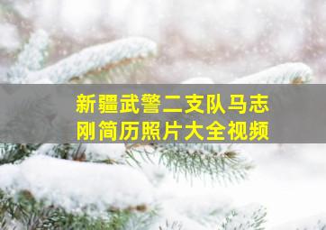 新疆武警二支队马志刚简历照片大全视频