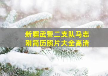 新疆武警二支队马志刚简历照片大全高清