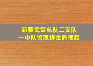 新疆武警总队二支队一中队警魂铸金盾视频