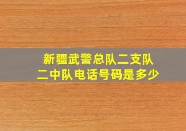 新疆武警总队二支队二中队电话号码是多少