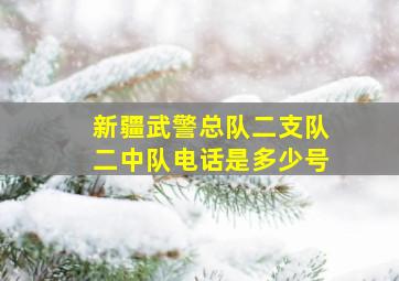 新疆武警总队二支队二中队电话是多少号