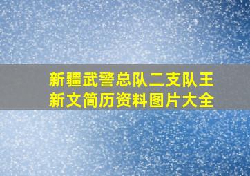 新疆武警总队二支队王新文简历资料图片大全