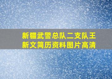 新疆武警总队二支队王新文简历资料图片高清