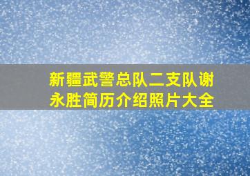 新疆武警总队二支队谢永胜简历介绍照片大全