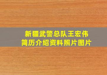 新疆武警总队王宏伟简历介绍资料照片图片