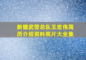 新疆武警总队王宏伟简历介绍资料照片大全集