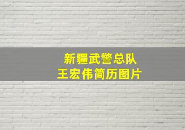 新疆武警总队王宏伟简历图片