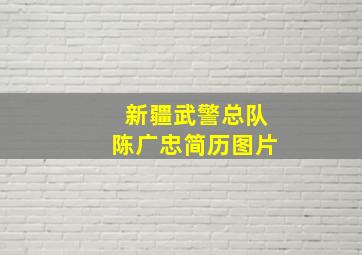 新疆武警总队陈广忠简历图片