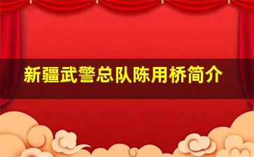 新疆武警总队陈用桥简介