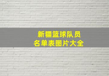 新疆篮球队员名单表图片大全