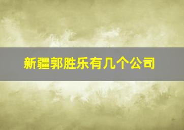 新疆郭胜乐有几个公司