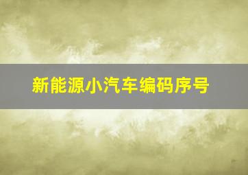 新能源小汽车编码序号