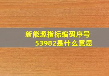 新能源指标编码序号53982是什么意思