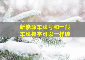 新能源车牌号和一般车牌数字可以一样嘛