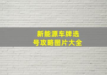 新能源车牌选号攻略图片大全