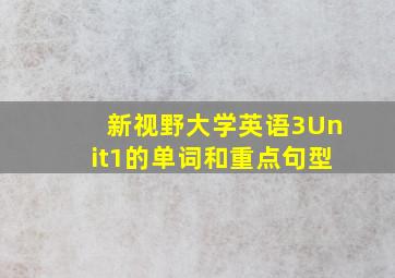 新视野大学英语3Unit1的单词和重点句型