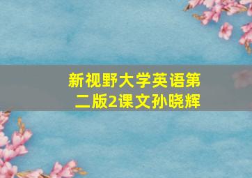 新视野大学英语第二版2课文孙晓辉