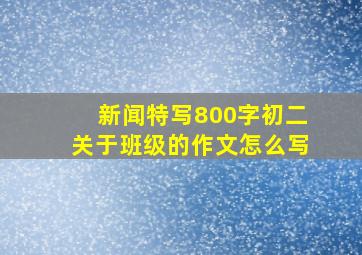 新闻特写800字初二关于班级的作文怎么写