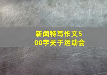 新闻特写作文500字关于运动会