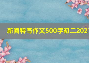 新闻特写作文500字初二2021