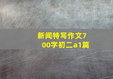 新闻特写作文700字初二a1篇