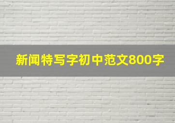 新闻特写字初中范文800字