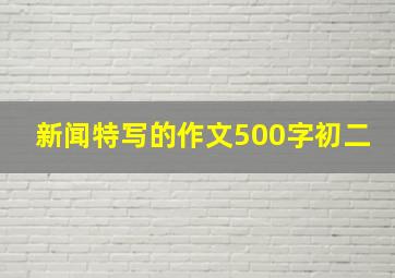 新闻特写的作文500字初二