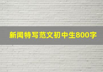 新闻特写范文初中生800字