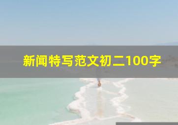 新闻特写范文初二100字