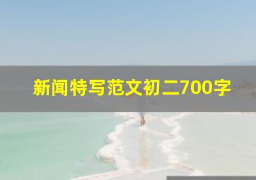 新闻特写范文初二700字