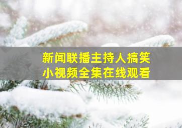 新闻联播主持人搞笑小视频全集在线观看