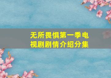 无所畏惧第一季电视剧剧情介绍分集