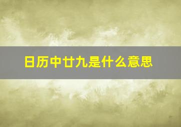 日历中廿九是什么意思