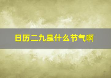 日历二九是什么节气啊