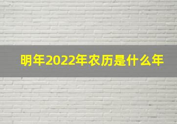 明年2022年农历是什么年